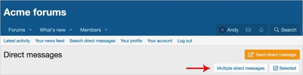 Multiple direct messages button.jpg